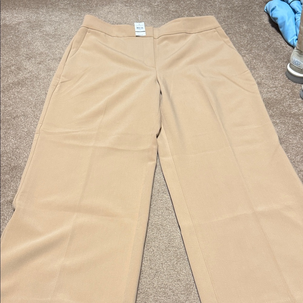 NWT Women's Ann Taylor Tan Pants